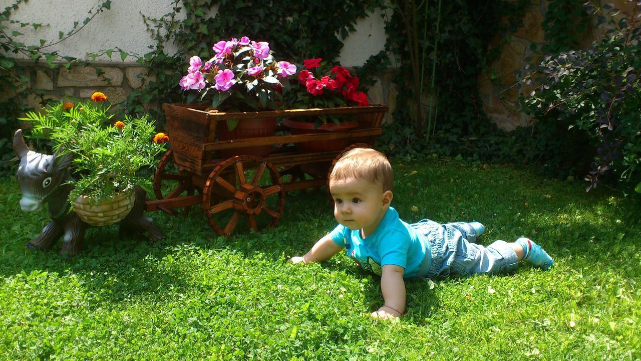 Family Hotel Yagodina